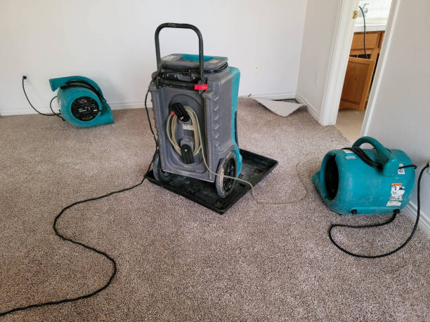 Best 24/7 water damage repair  in Grandville, MI