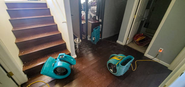 Best Flooded house restoration  in Grandville, MI