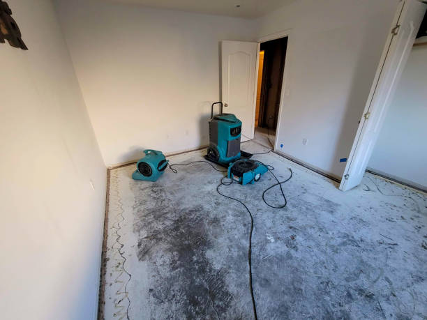 Best 24-hour water damage restoration  in Grandville, MI