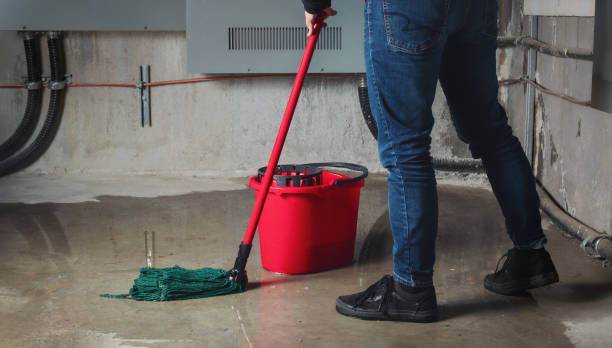 Best Basement water damage restoration  in Grandville, MI