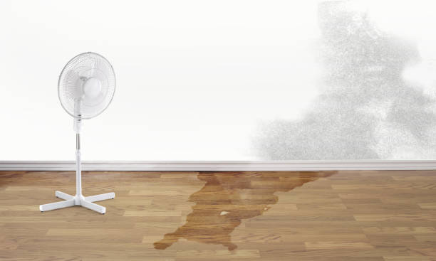 Best Fire Damage Restoration  in Grandville, MI