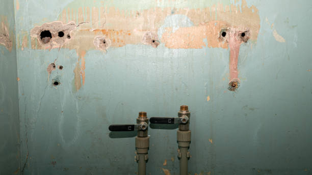 Best 24-hour water damage restoration  in Grandville, MI