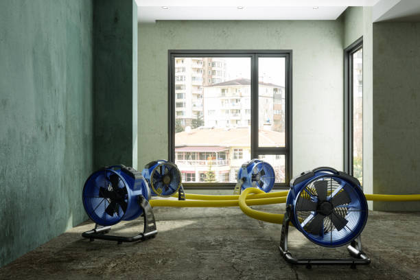 Best Water damage restoration near me  in Grandville, MI